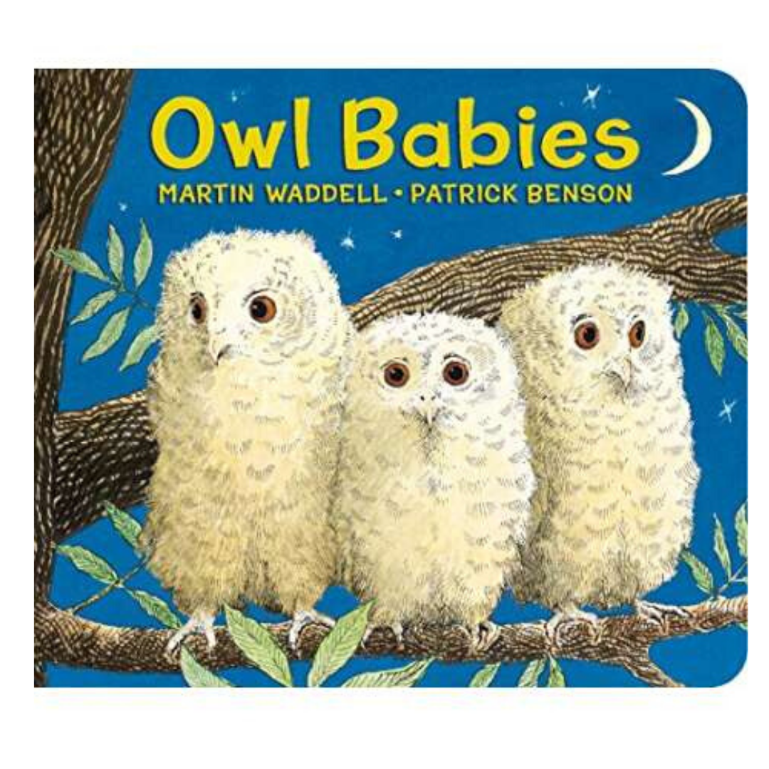 Owl babies story hot sale online