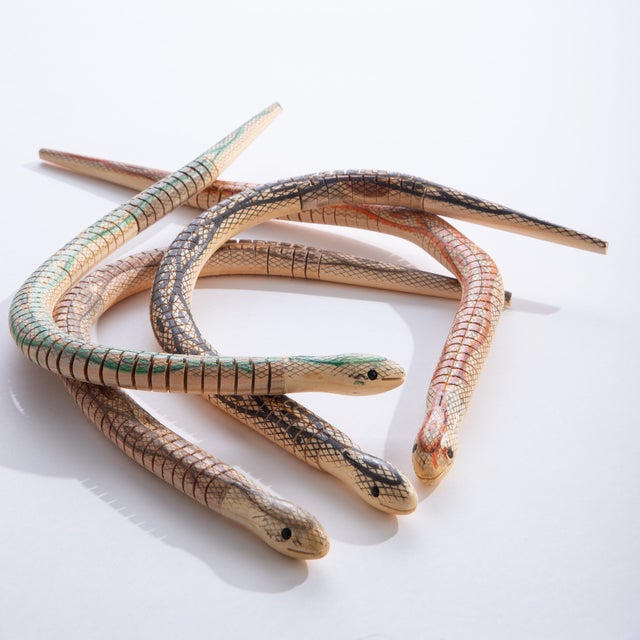 Reptiles Amphibians Santa Cruz Museum Online Store